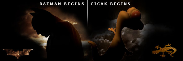 Cicak Begins | Batman Begins